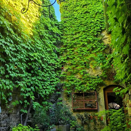 D Hotes Le Clos Des Vins D Anges Bed & Breakfast Saint-Pierre-des-Champs