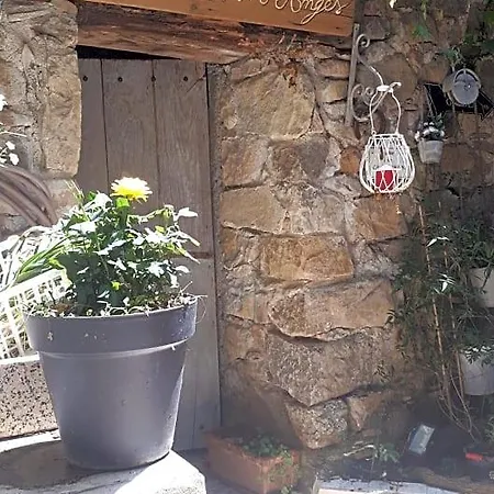 Bed & Breakfast D Hotes Le Clos Des Vins D Anges 3*