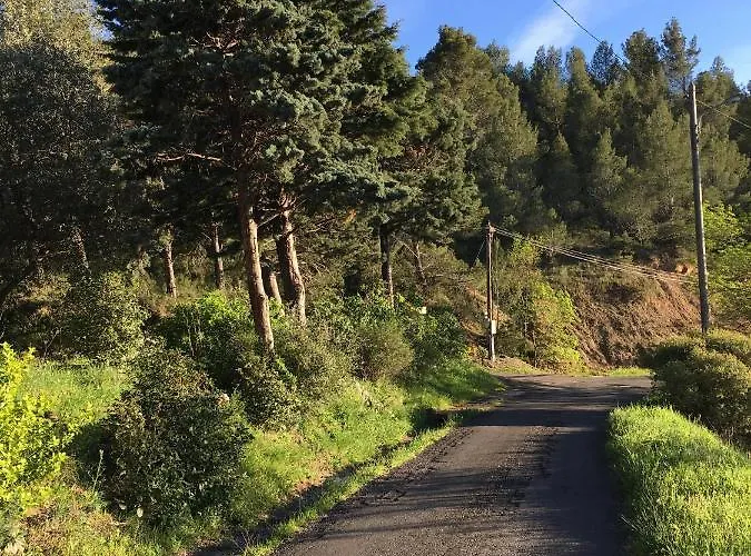 住宿加早餐酒店 D Hotes Le Clos Des Vins D Anges